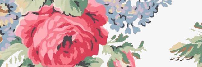 EsEvenly's profile banner image