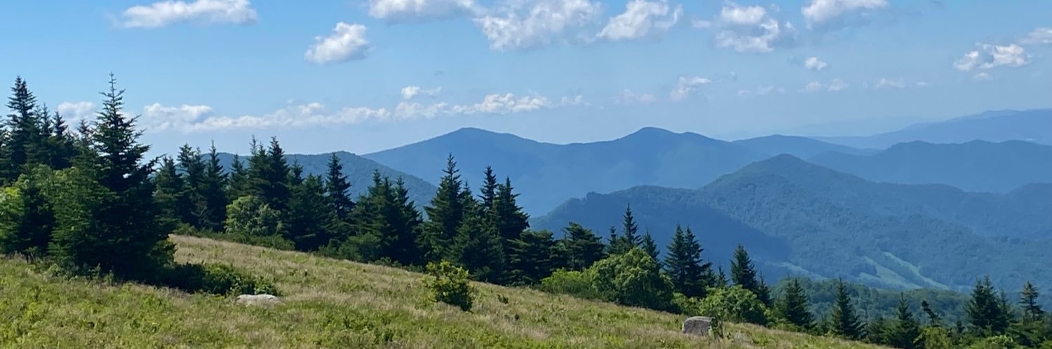SarahMann2's profile banner image