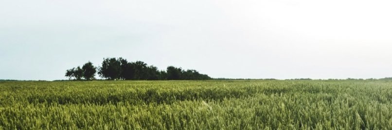 bjarntoft's profile banner image
