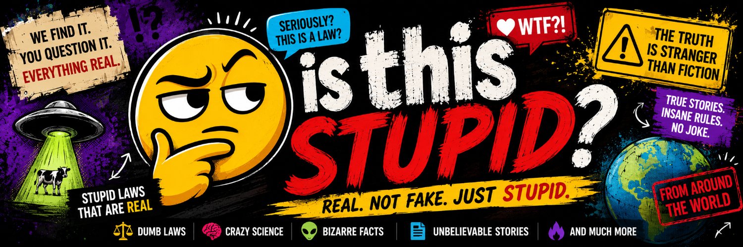 isthisstupid? banner