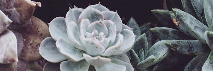 harrykissykissy's profile banner image