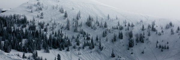 andyhelbig Profile Banner