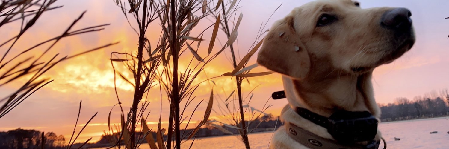cody2parramore's profile banner image