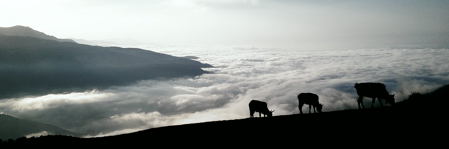 ComBeeez's profile banner image