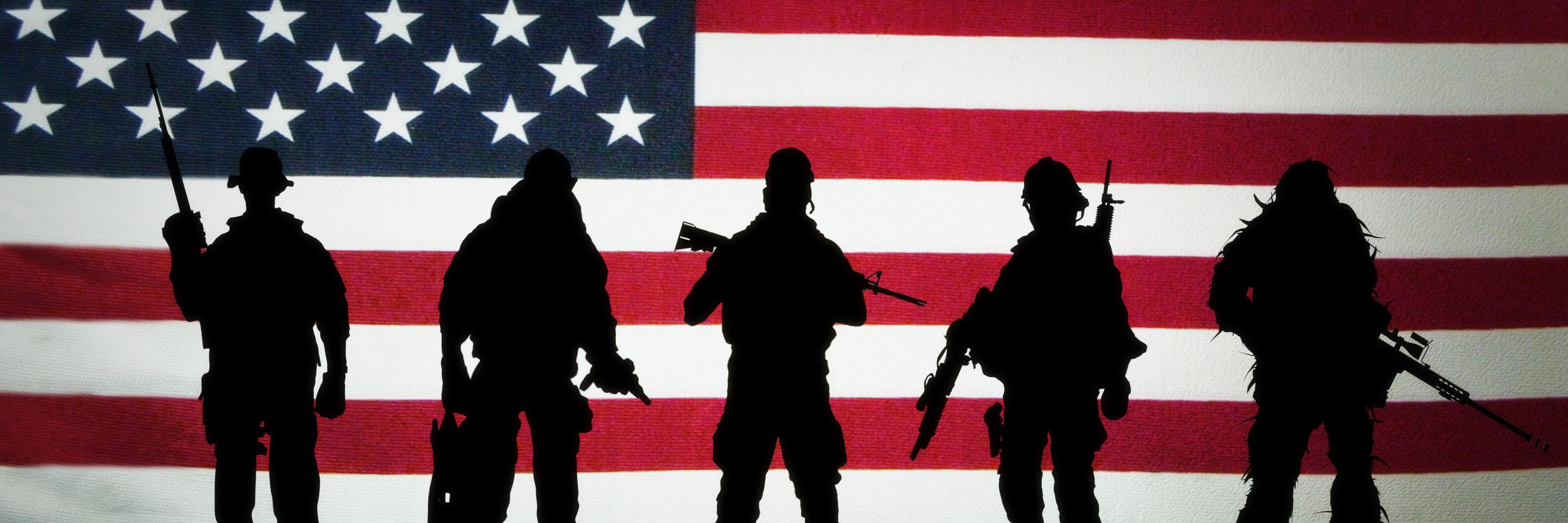 VetsAgainstISIL's profile banner image