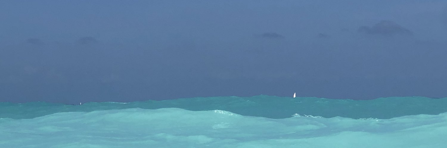 Grégoire Tournon banner