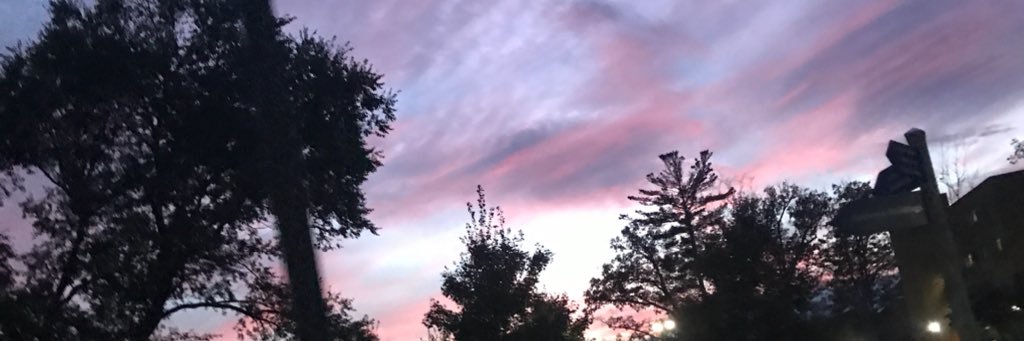 ZacharyDavis417's profile banner image