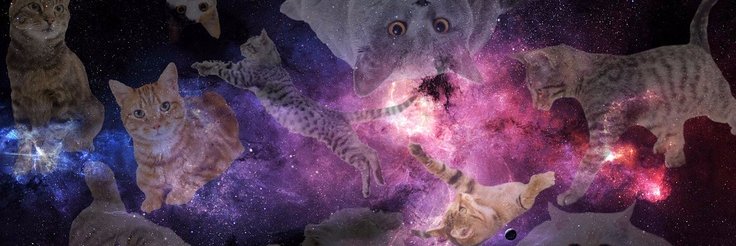 kattwittch's profile banner image