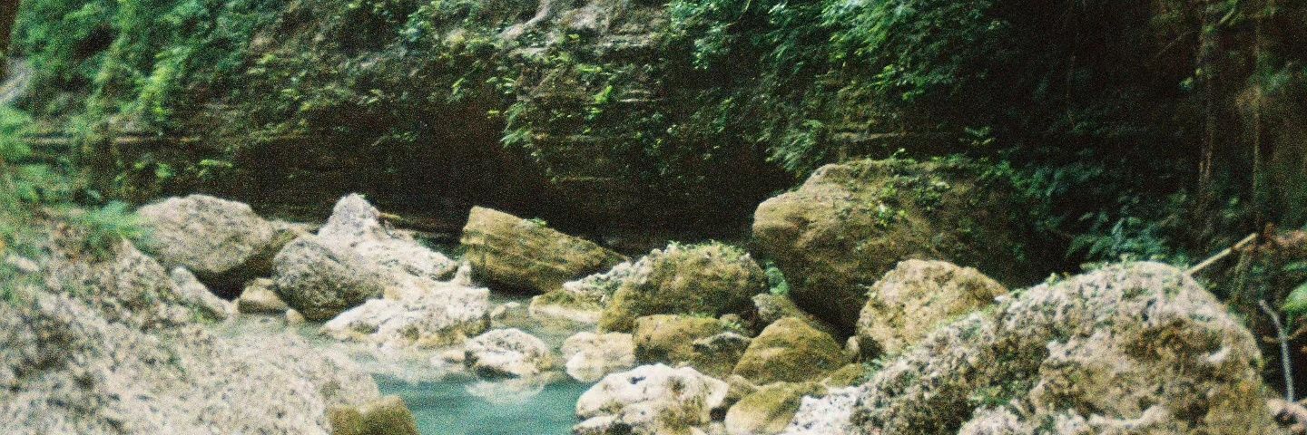 caressthine's profile banner image