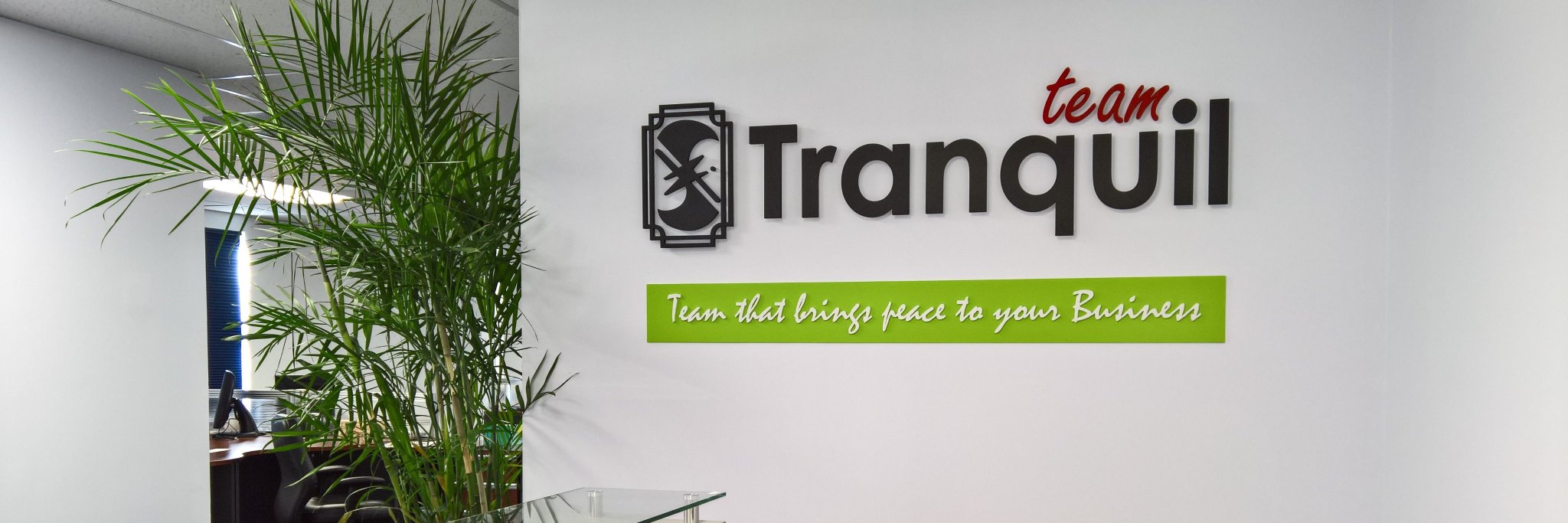 Team Tranquil Inc. banner
