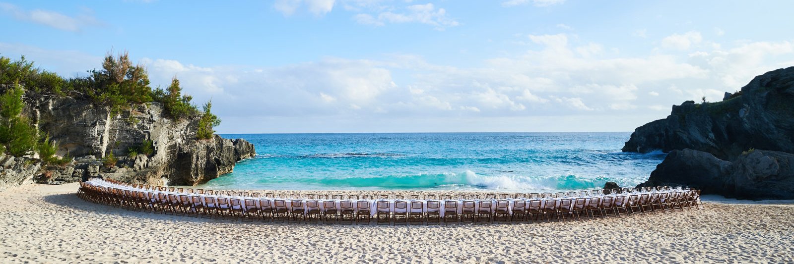 Denise Shipper banner