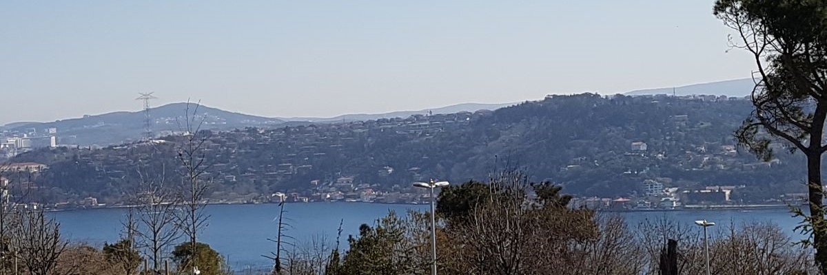 _SJabeen's profile banner image