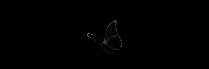 alexiavilela_'s profile banner image