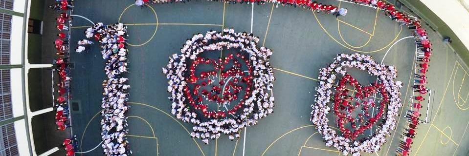 100CSACeuta's profile banner image