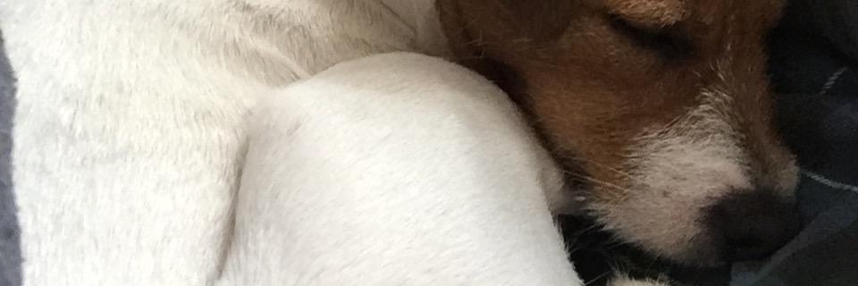 pennyjrt's profile banner image