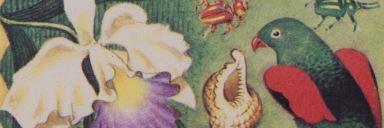 History_Qld's profile banner image