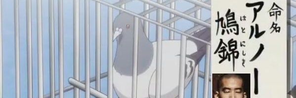 通りすがりの鳩's banner