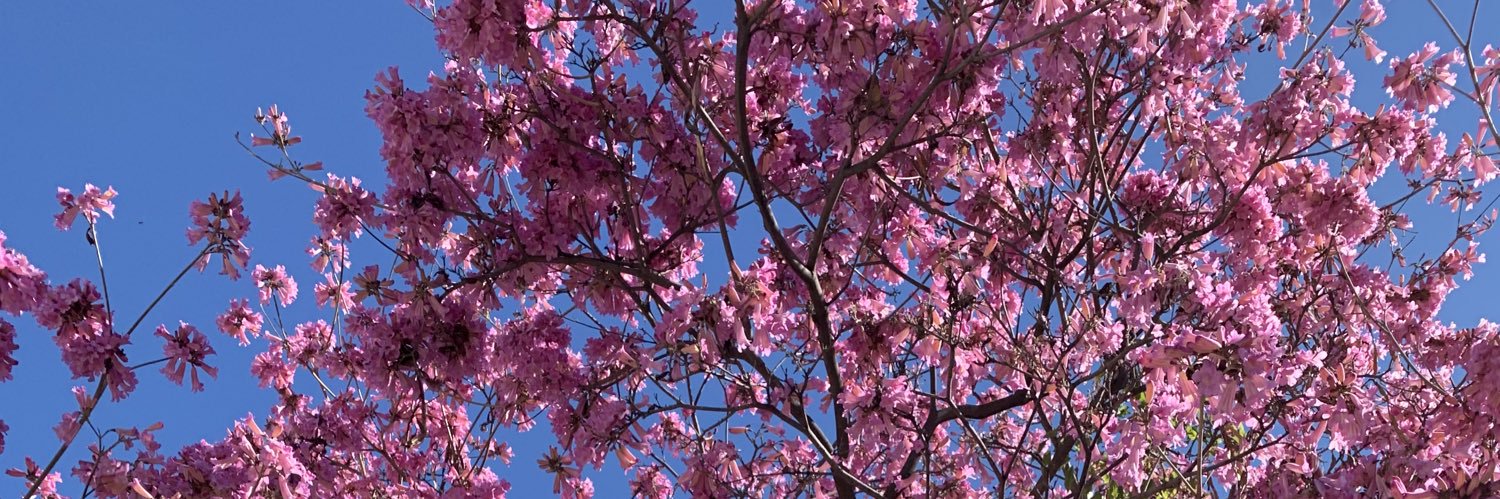 _prestonip's profile banner image