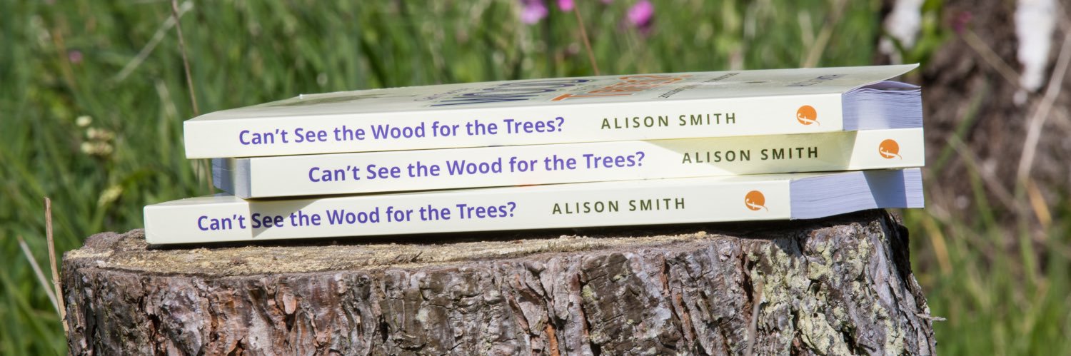 alisonrbcm's profile banner image