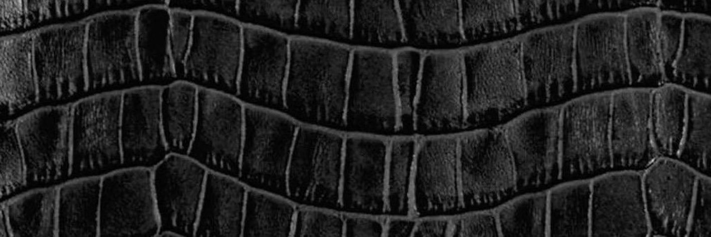Find0mMabel's profile banner image