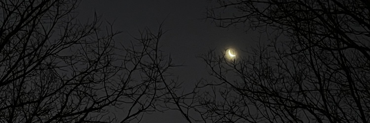 le_xy1's profile banner image