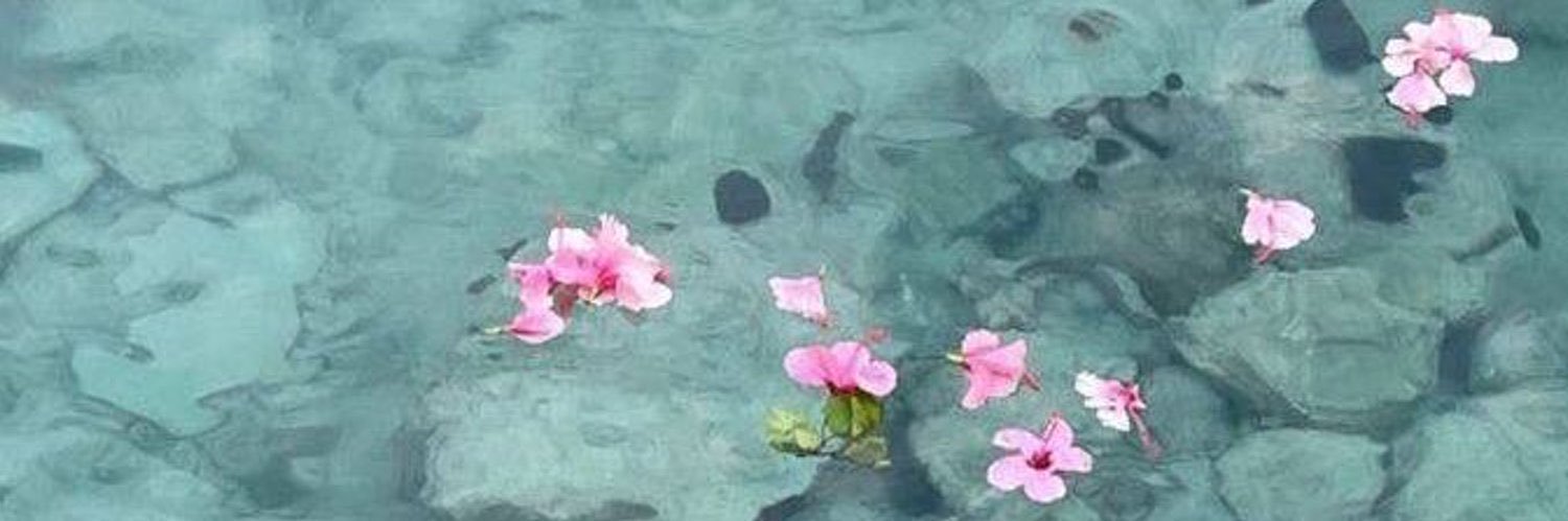 moreofdeja's profile banner image