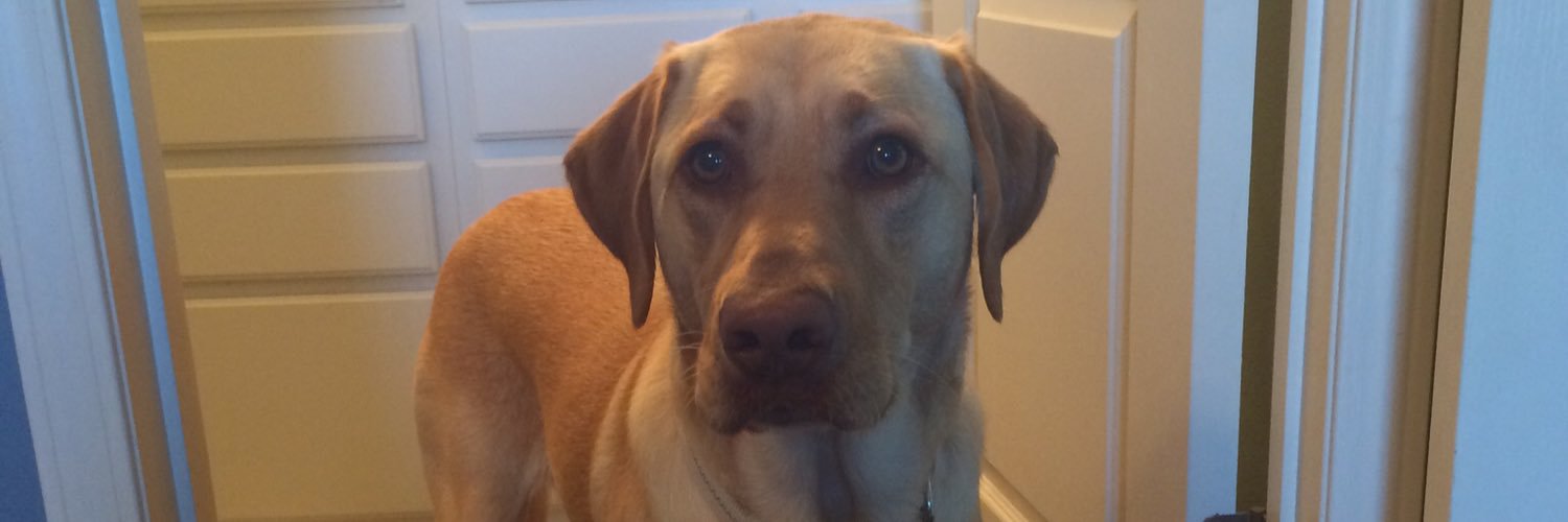 Jake_OC's profile banner image