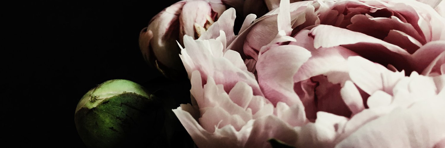 carolma46's profile banner image