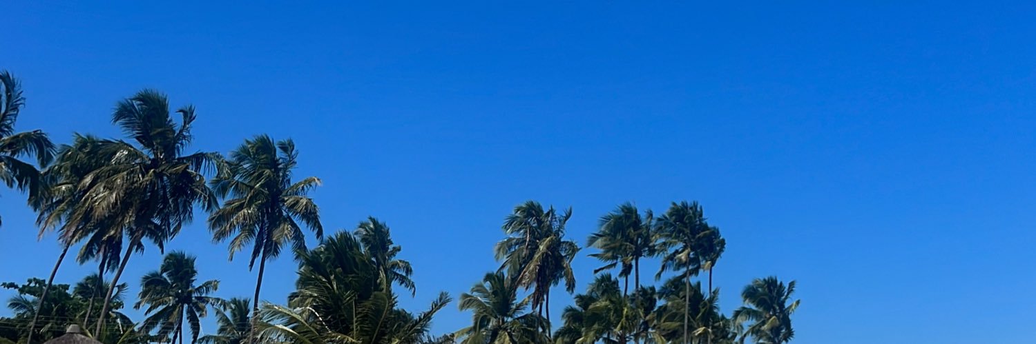 nubiabbritto's profile banner image