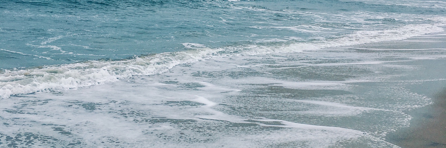tiphanicole's profile banner image