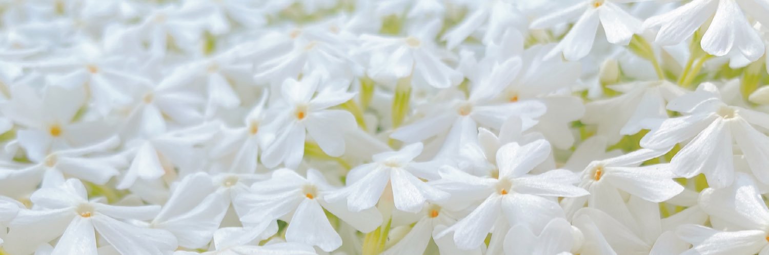 TAMURINGOtp's profile banner image