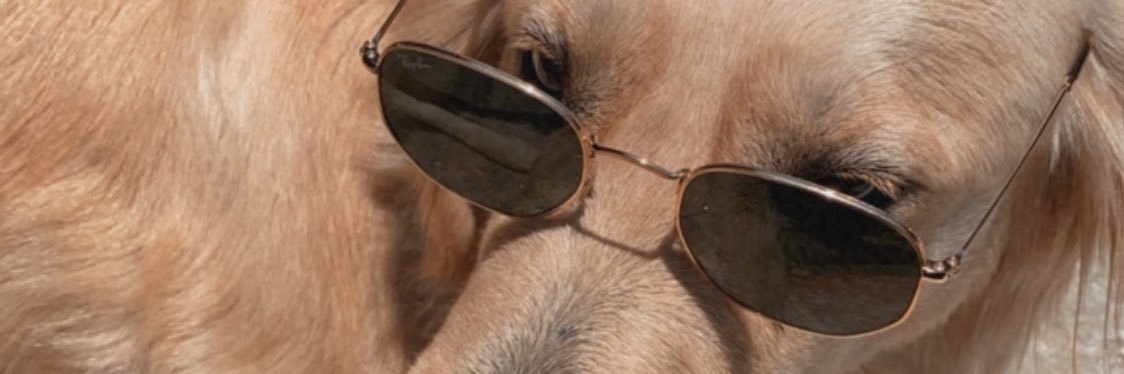 AnnePeress's profile banner image