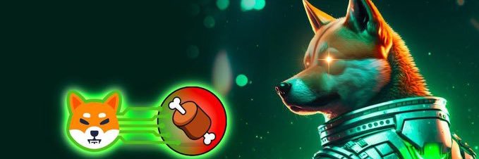 Bone - Shibaium Gas Token banner