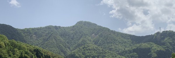 silvergreyblue Profile Banner