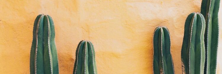 1_Chanel's profile banner image