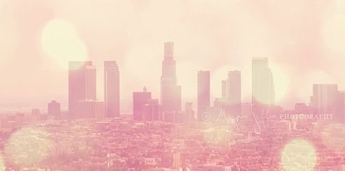 Spice4life.co.za banner