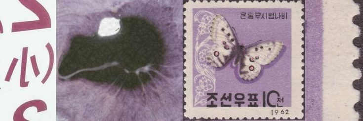 👻🎃🍭 NICO 🍬🦇🌕 banner