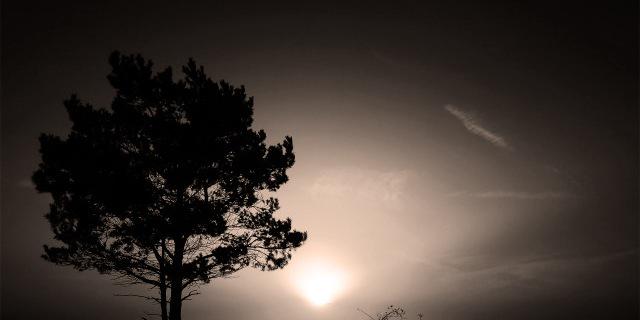 Sad_and_Afraid's profile banner image