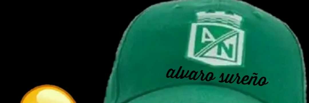 sureño banner