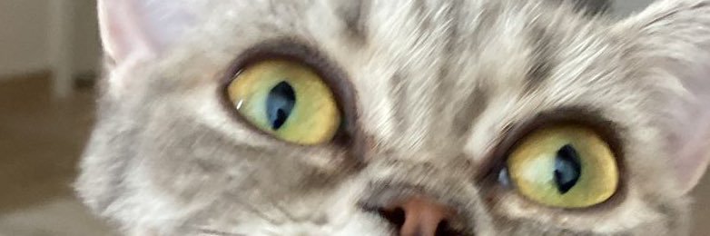 beykaresi's profile banner image