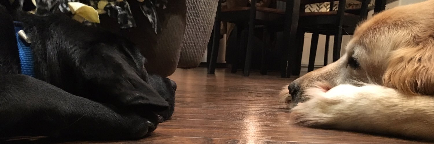 JcAlexandria's profile banner image