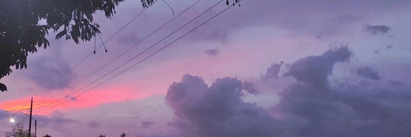 MatildaOis's profile banner image