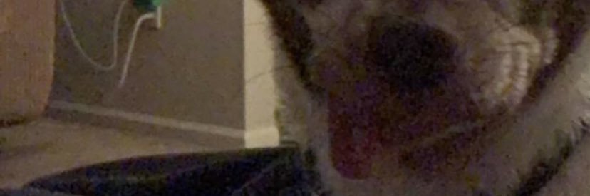 GraceKerr_18's profile banner image