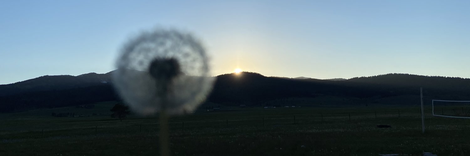 nvmemily's profile banner image