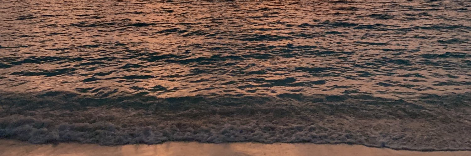 whoischelin's profile banner image