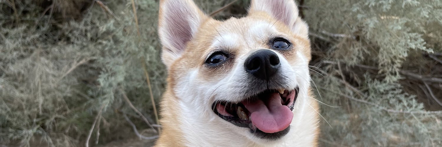 anbegilo's profile banner image