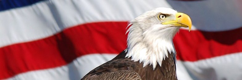 Yankev 🇺🇸 🟦 banner