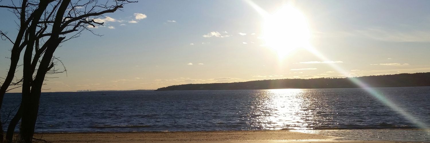 LadyAlaina_'s profile banner image