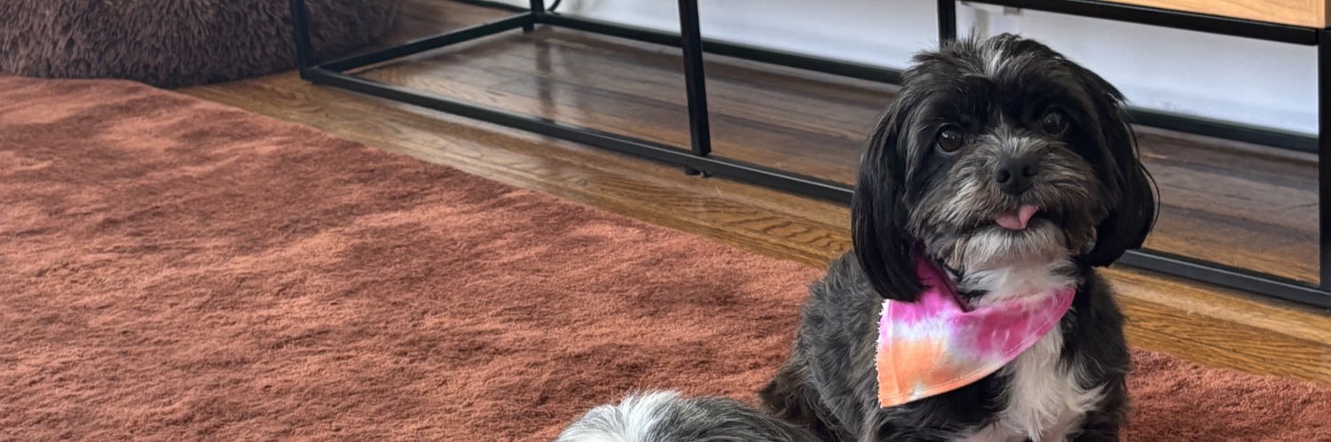 ivanaftp's profile banner image