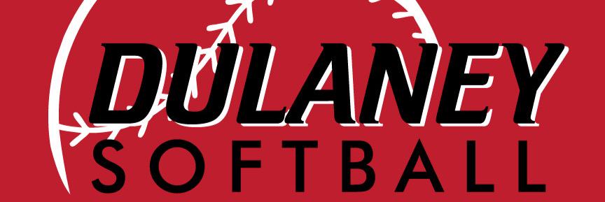 Dulaney HS Softball banner